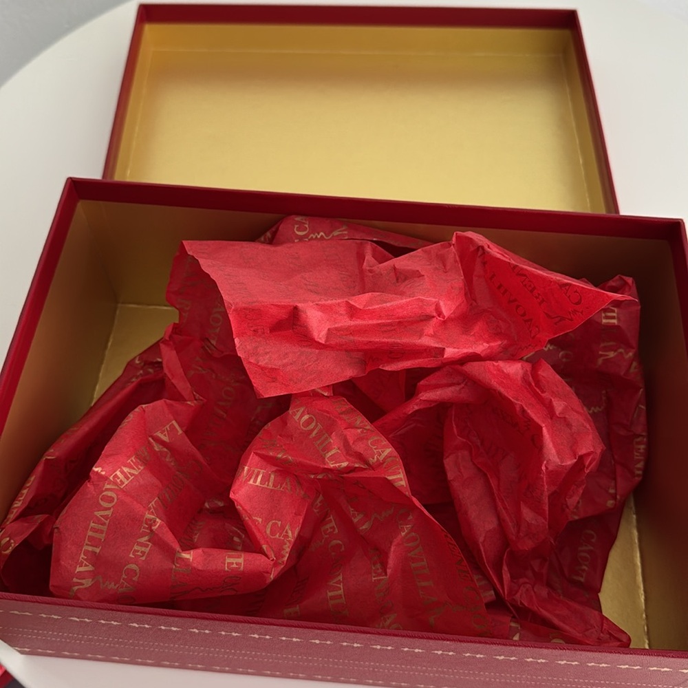 RENE CAOVILLA Shoe Box ONLY in Excellent Condition - Picture 10 of 11